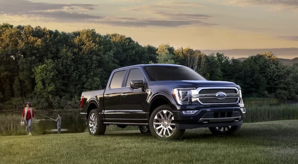 A black 2023 Ford F-150 parked on grass.