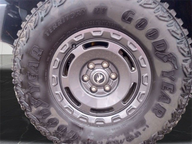 2023 Ford Bronco Everglades