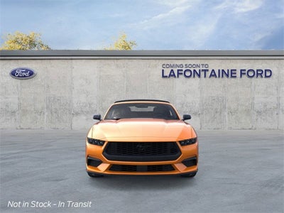 2026 Ford Mustang In-Transit