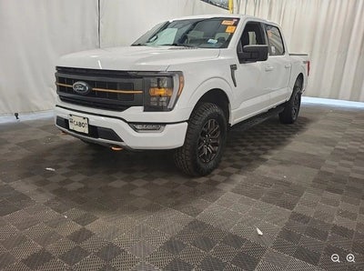 2023 Ford F-150 Tremor 4X4