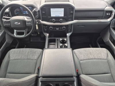 2023 Ford F-150 XLT 4X4