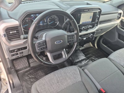 2023 Ford F-150 XLT 4X4