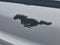 2022 Ford Mustang Mach-E Premium AWD