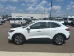 2022 Ford Escape Hybrid SEL