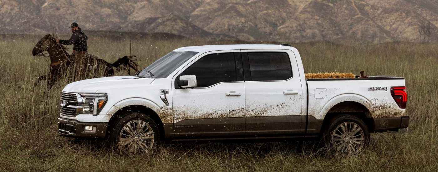 White 2026 Ford F-150 driving alongside a horse and cowboy